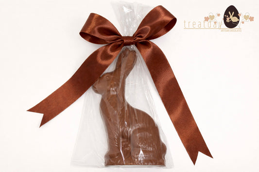 Large Chocolate Bunny